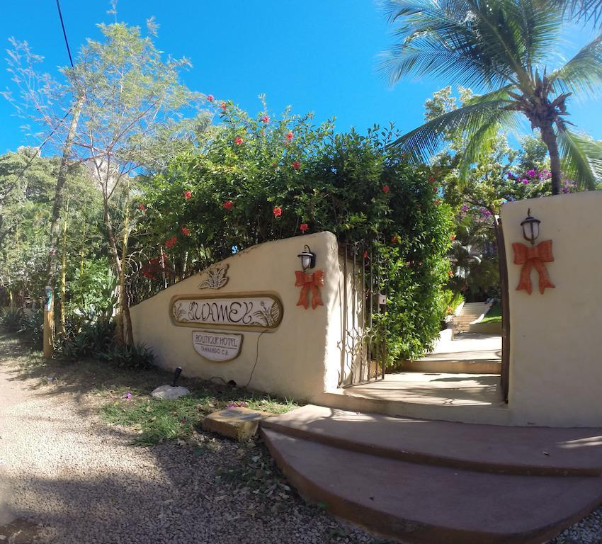 Boutique Luamey Hotel Tamarindo