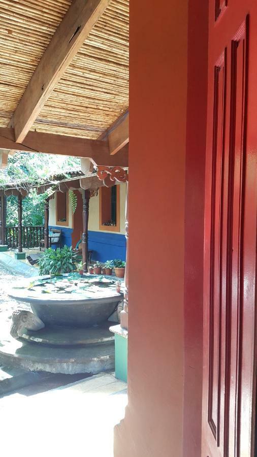 Casa Mare Nostrvm Bed & Breakfast Manuel Antonio
