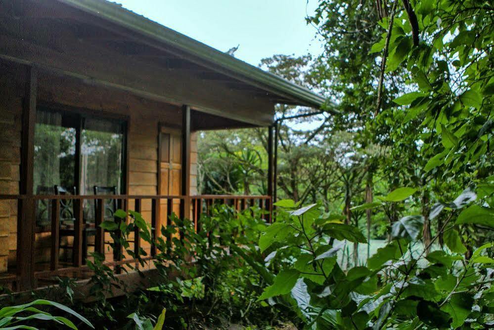 Jaguarundi Jungle - 3* Monteverde