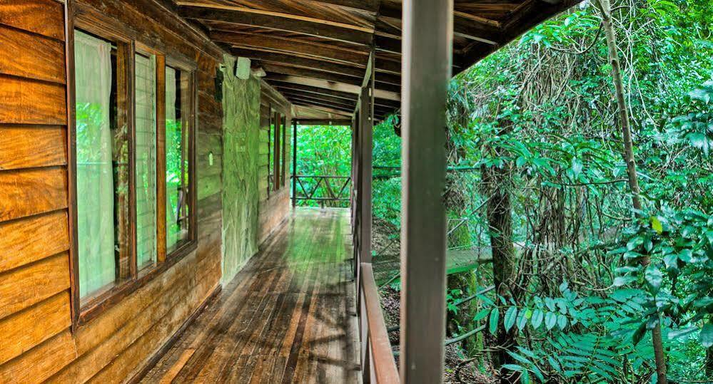 Hotel Jaguarundi Jungle -