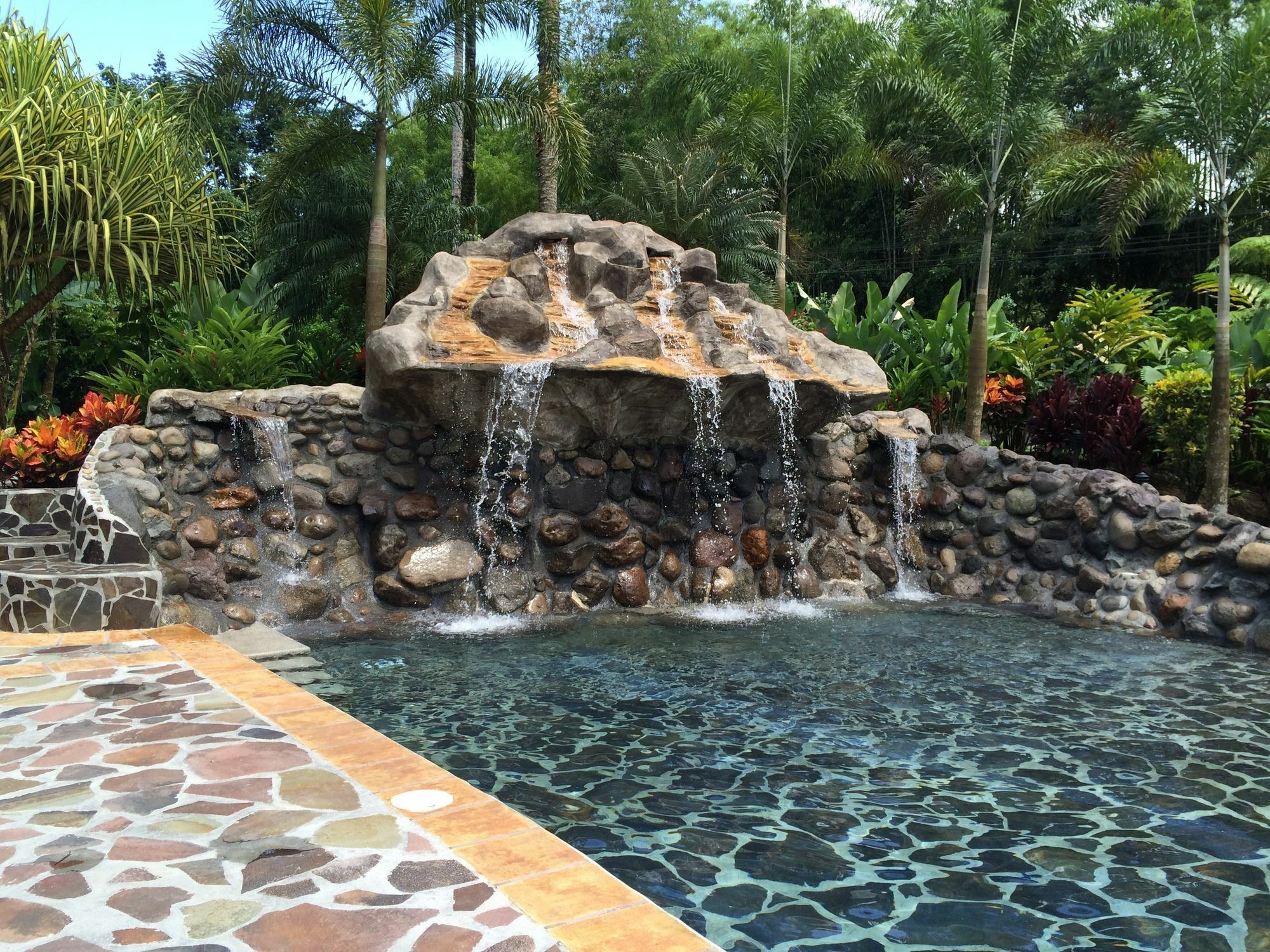 Mussaenda, Arenal Hotel