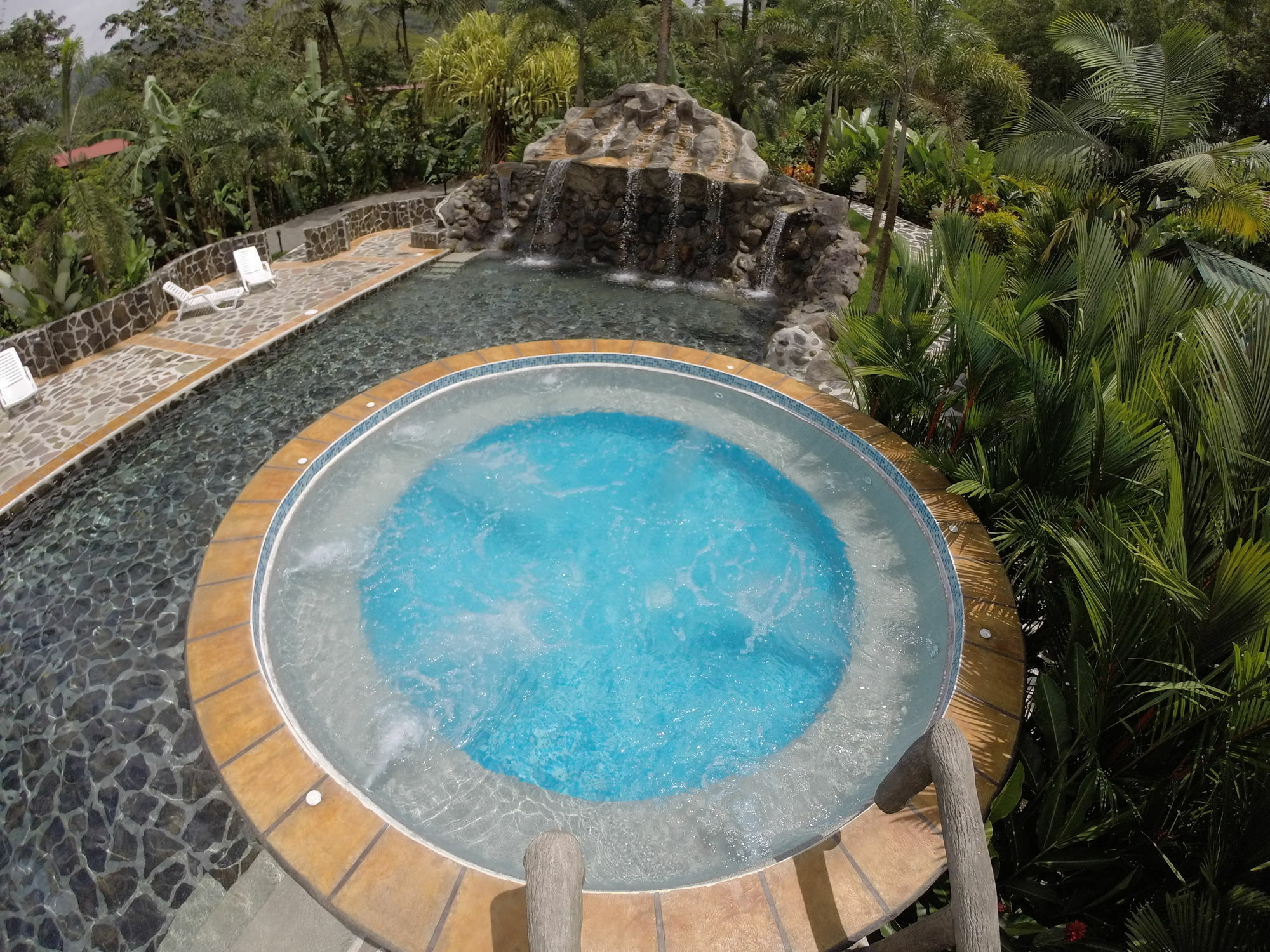 Mussaenda, Arenal 3*