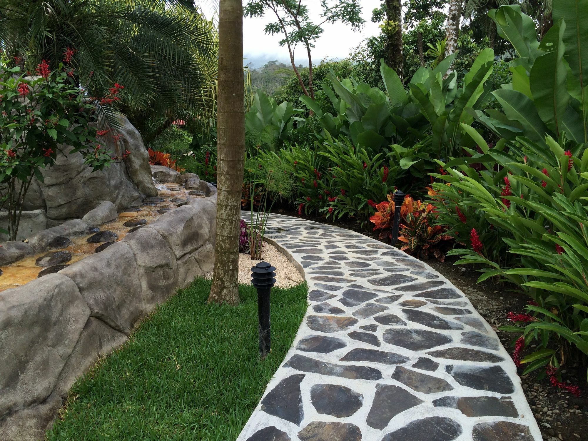 Mussaenda, Arenal Hotel 3*