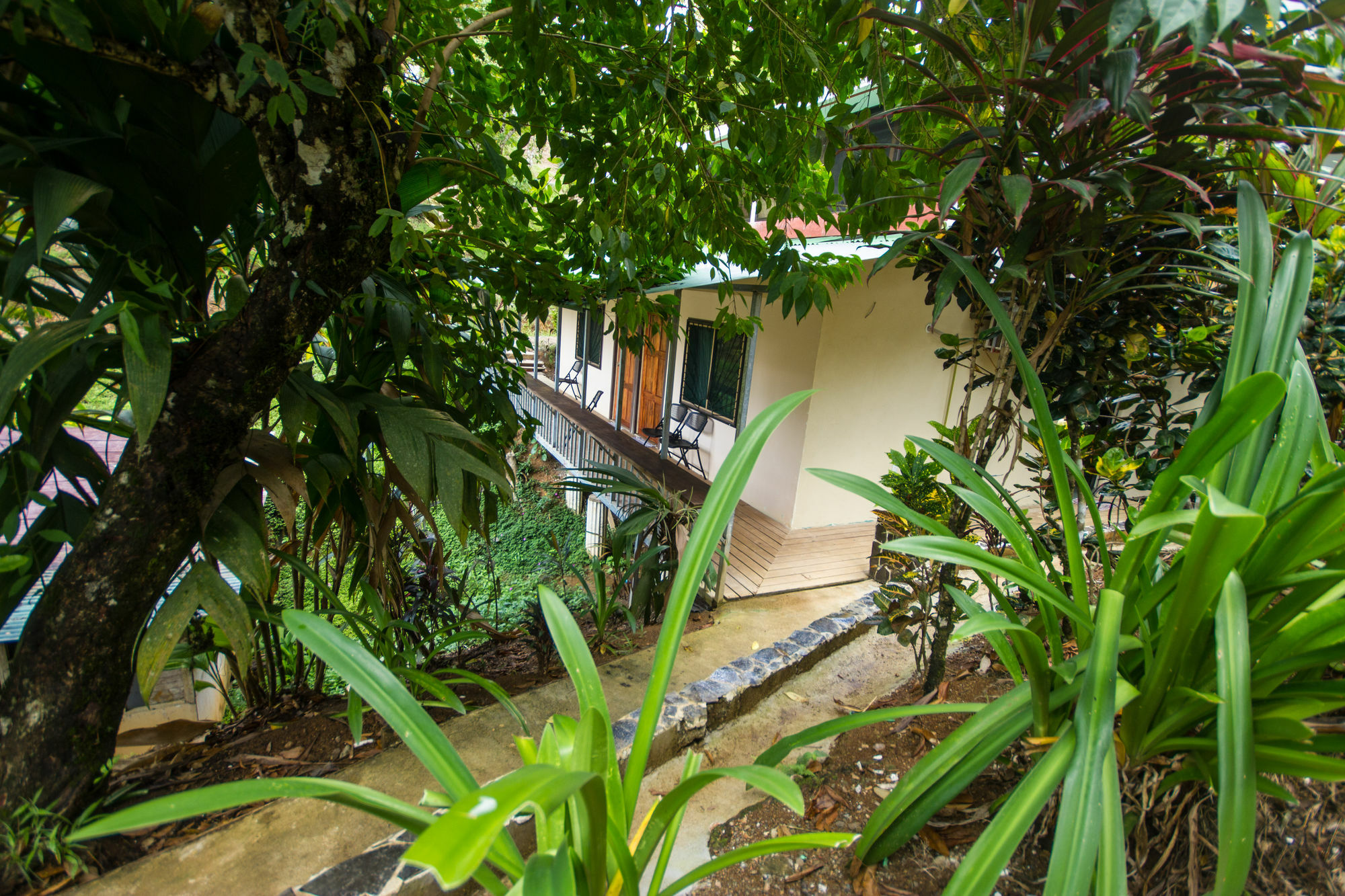 Rancho Corcovado