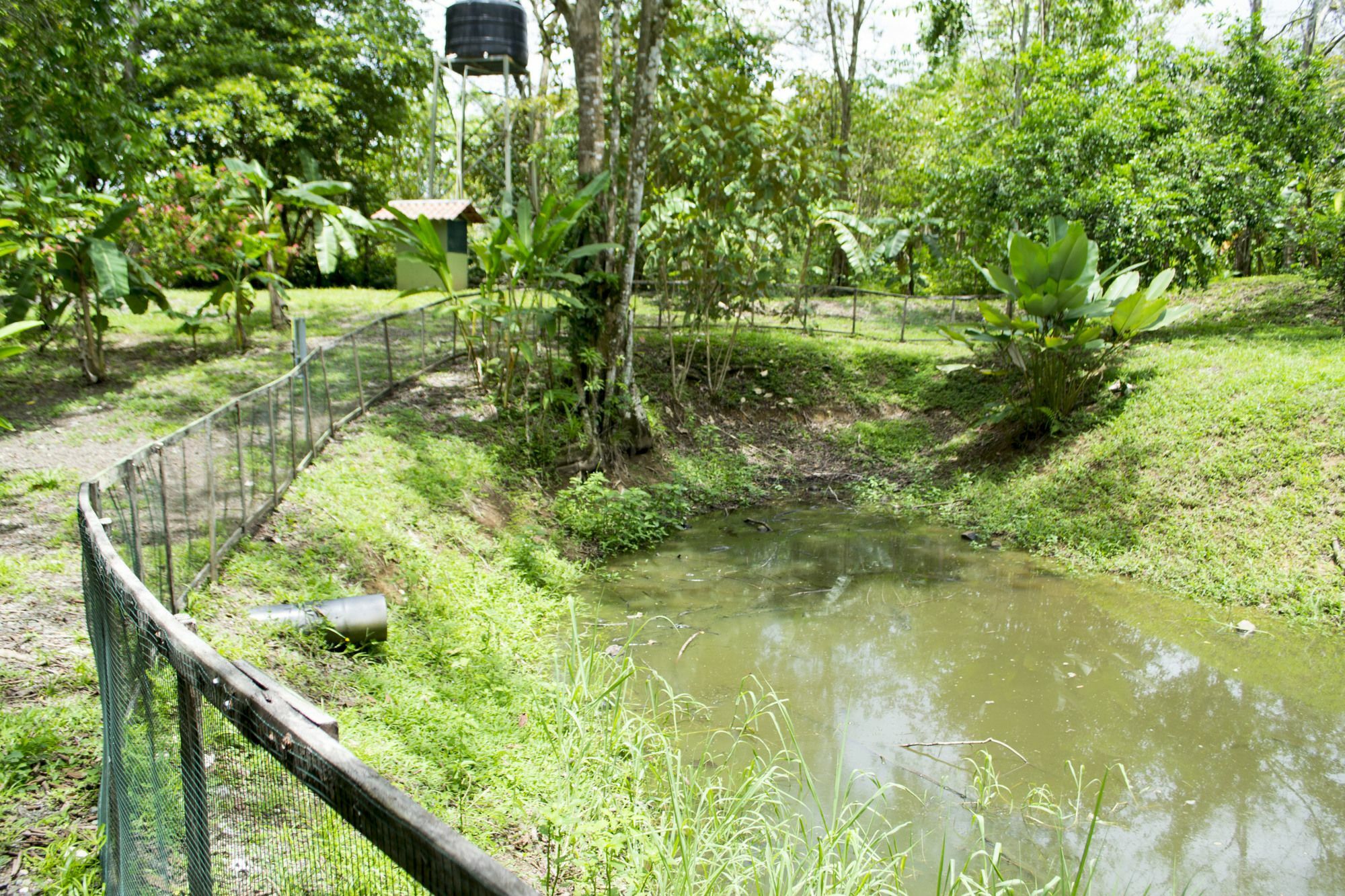 Islas Resort