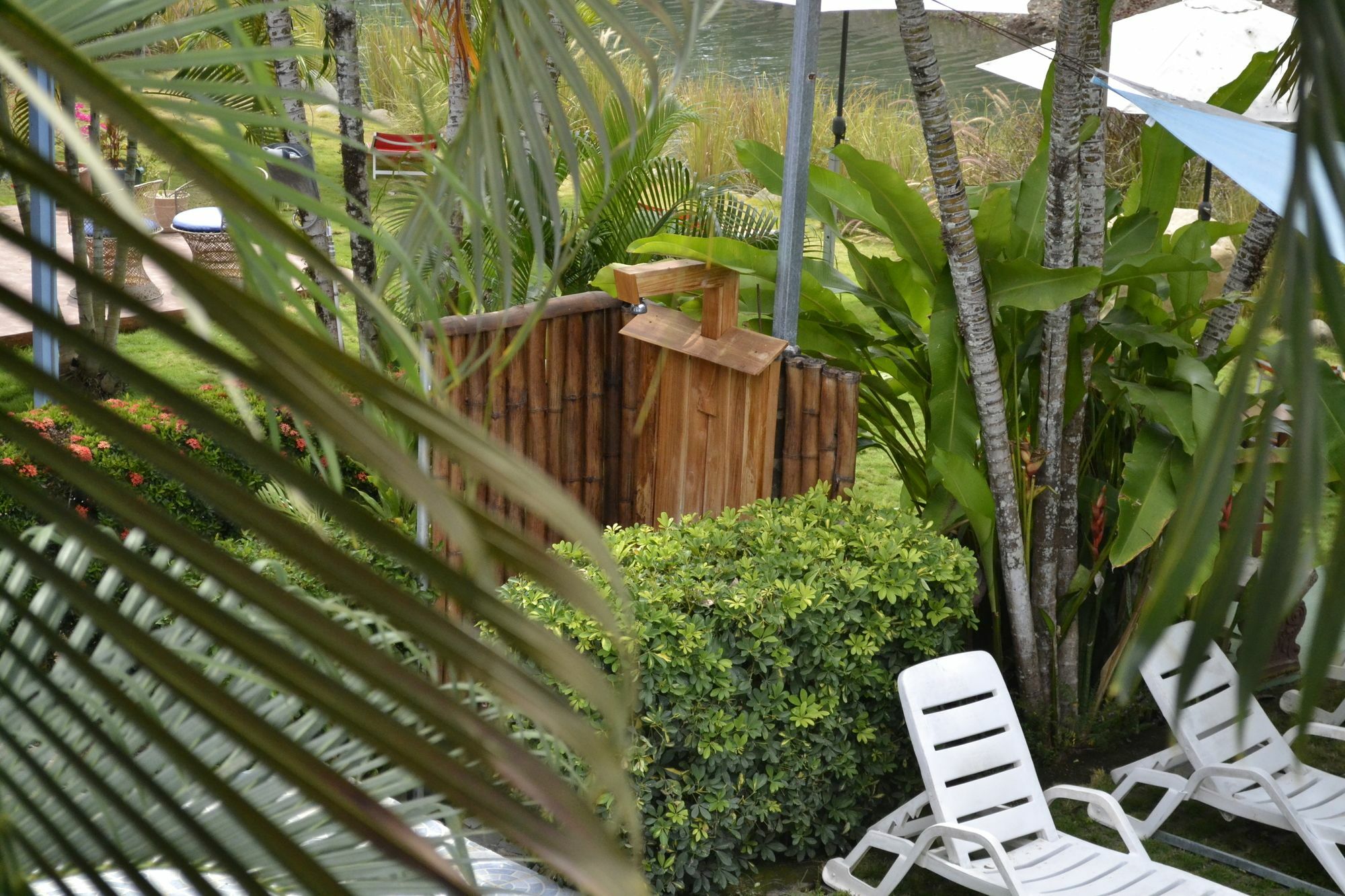 Boutique Ibiza Jaco