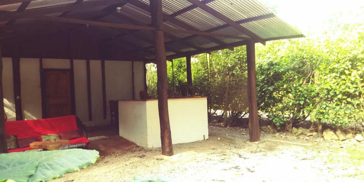 Toritos Guest