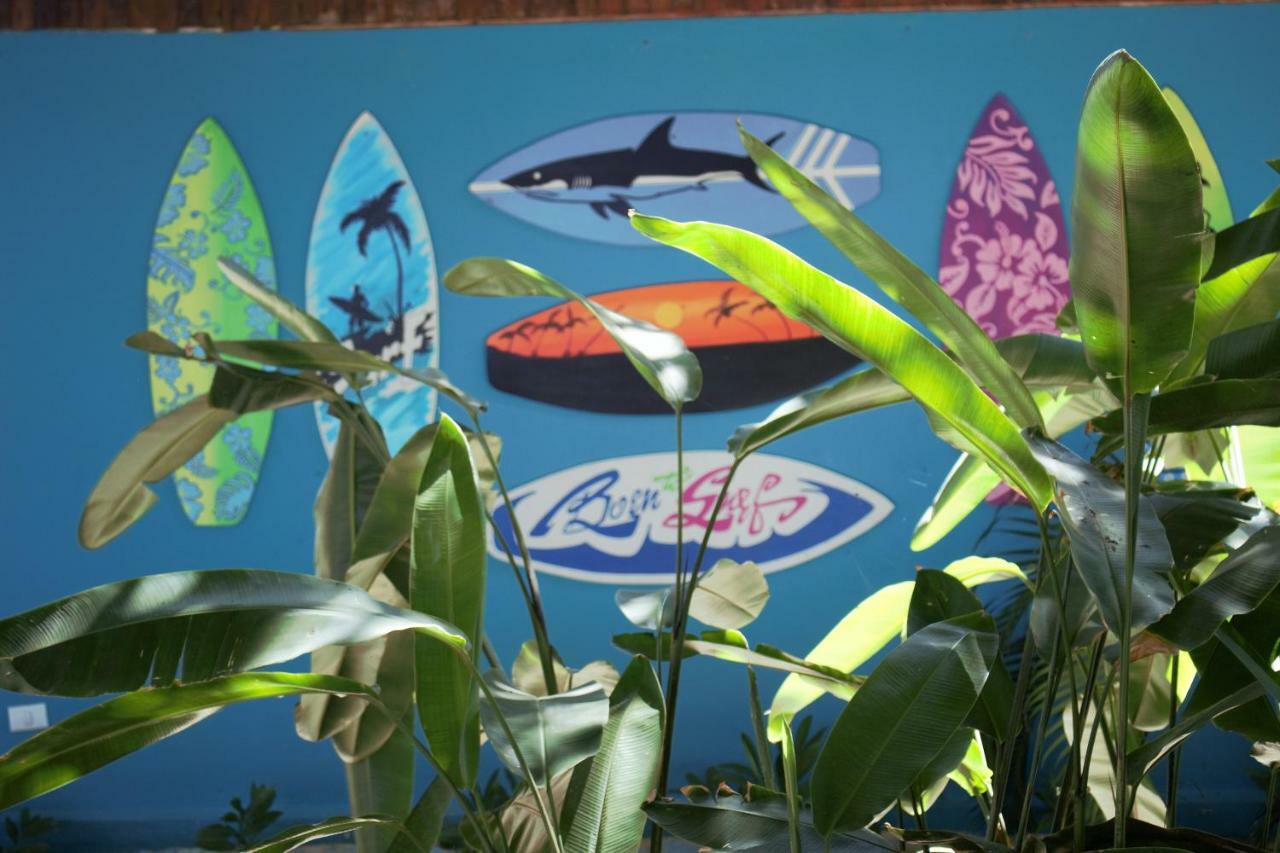 Break & Cr Surf Camp Hotel Jaco