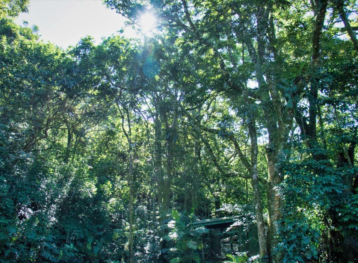 Hotel Jaguarundi Jungle - 3*
