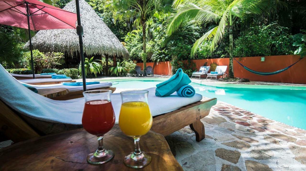 Hotel El Pequeno Gecko