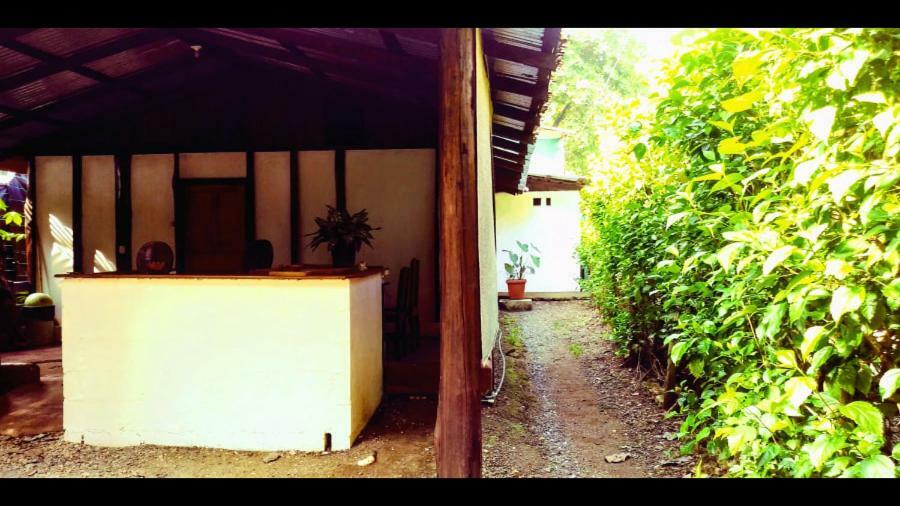 Toritos Guest Guest house *