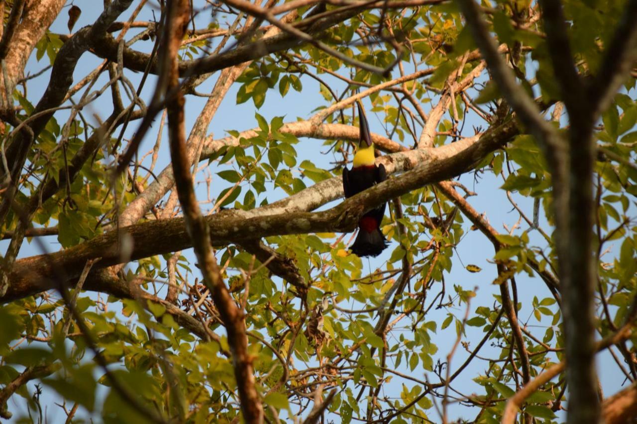 Tres Banderas 3* Manuel Antonio
