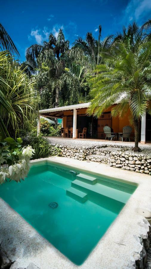 Hotel El Pequeno Gecko Samara