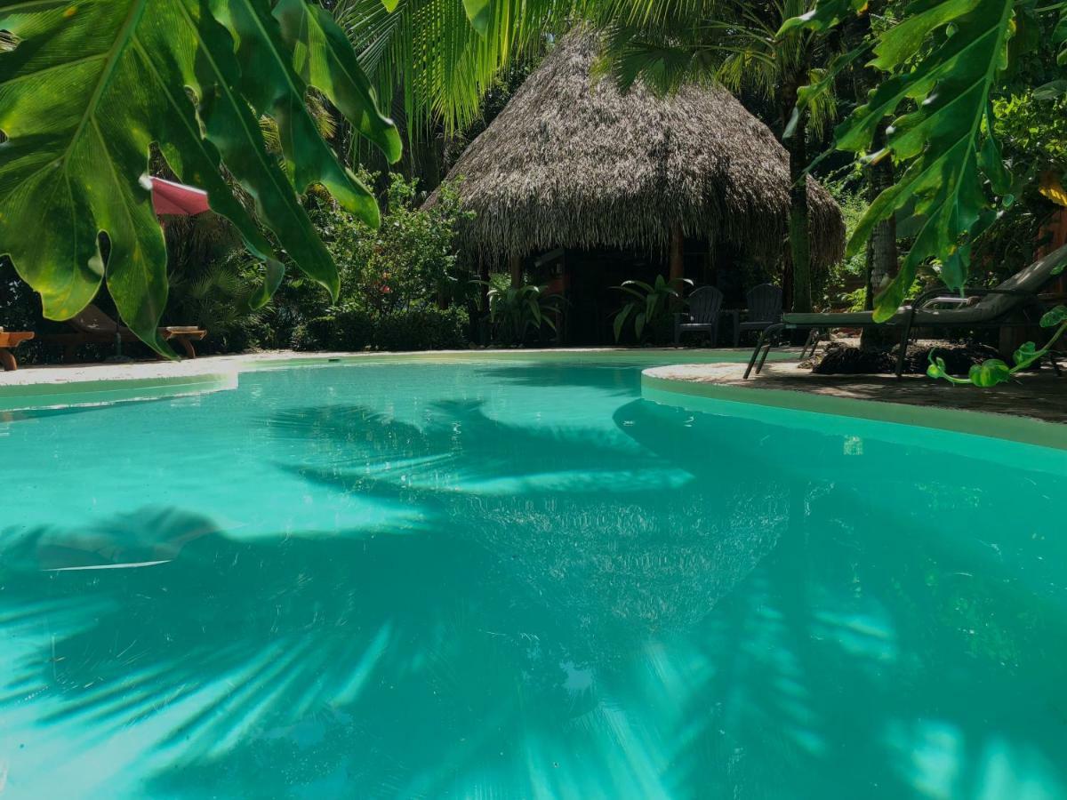 Hotel El Pequeno Gecko