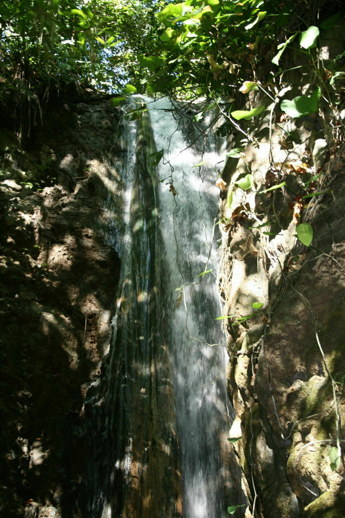 Hotel Bosque Del Cabo Rain Forest
