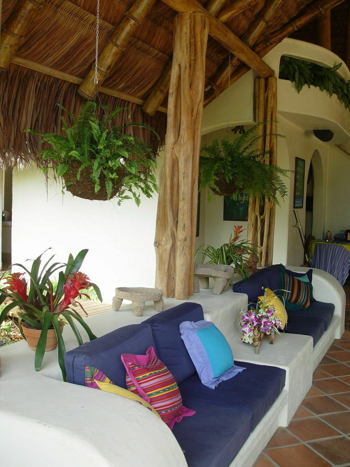 Bosque Del Cabo Rain Forest