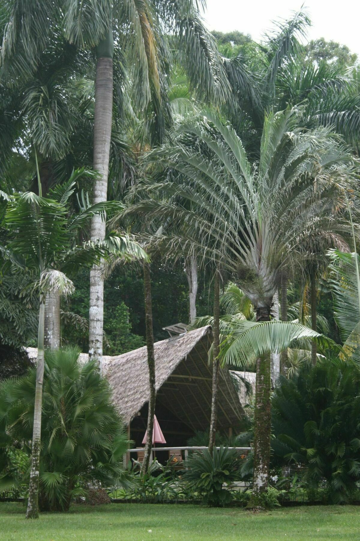 Bosque Del Cabo Rain Forest