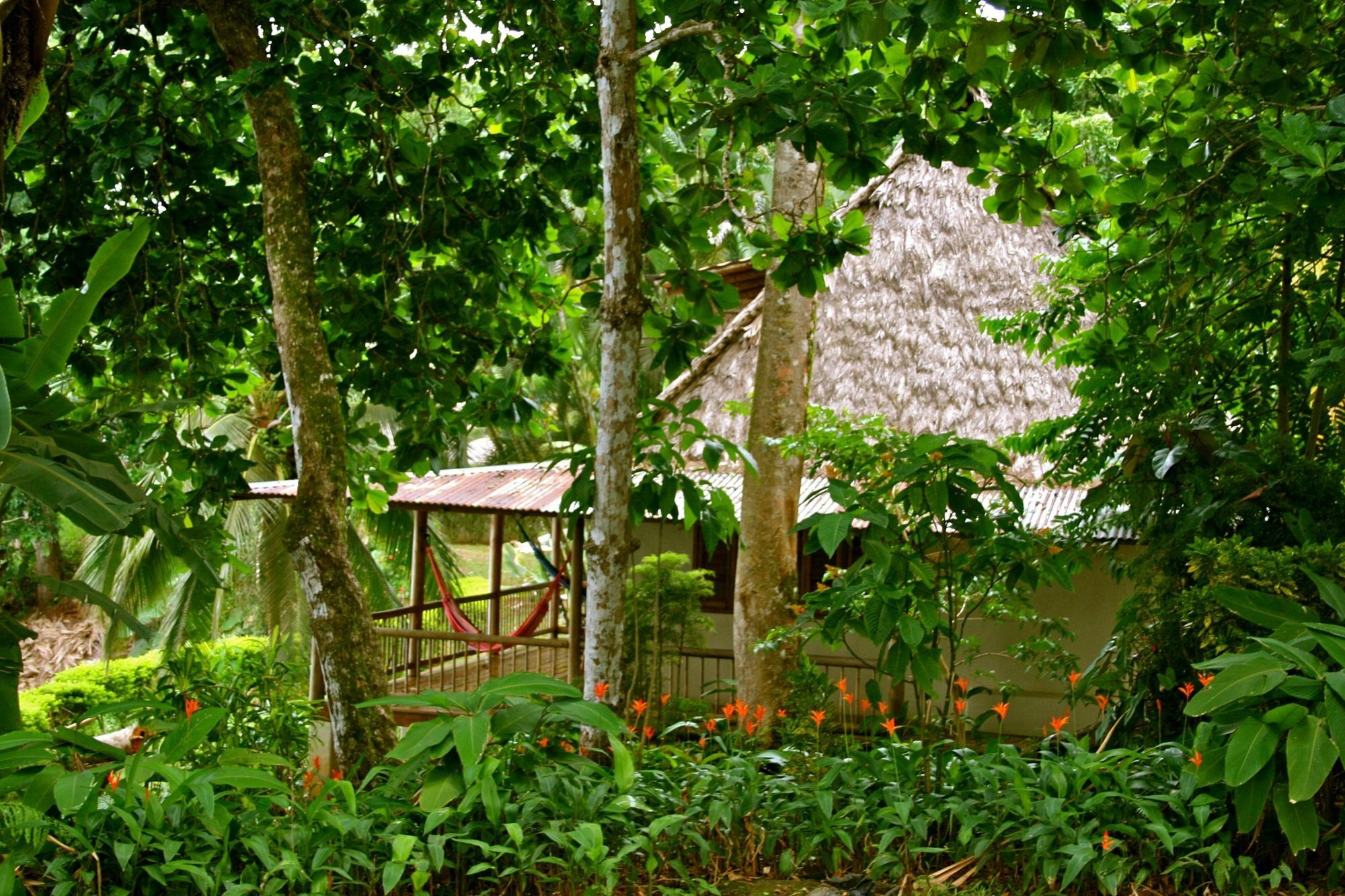 Bosque Del Cabo Rain Forest