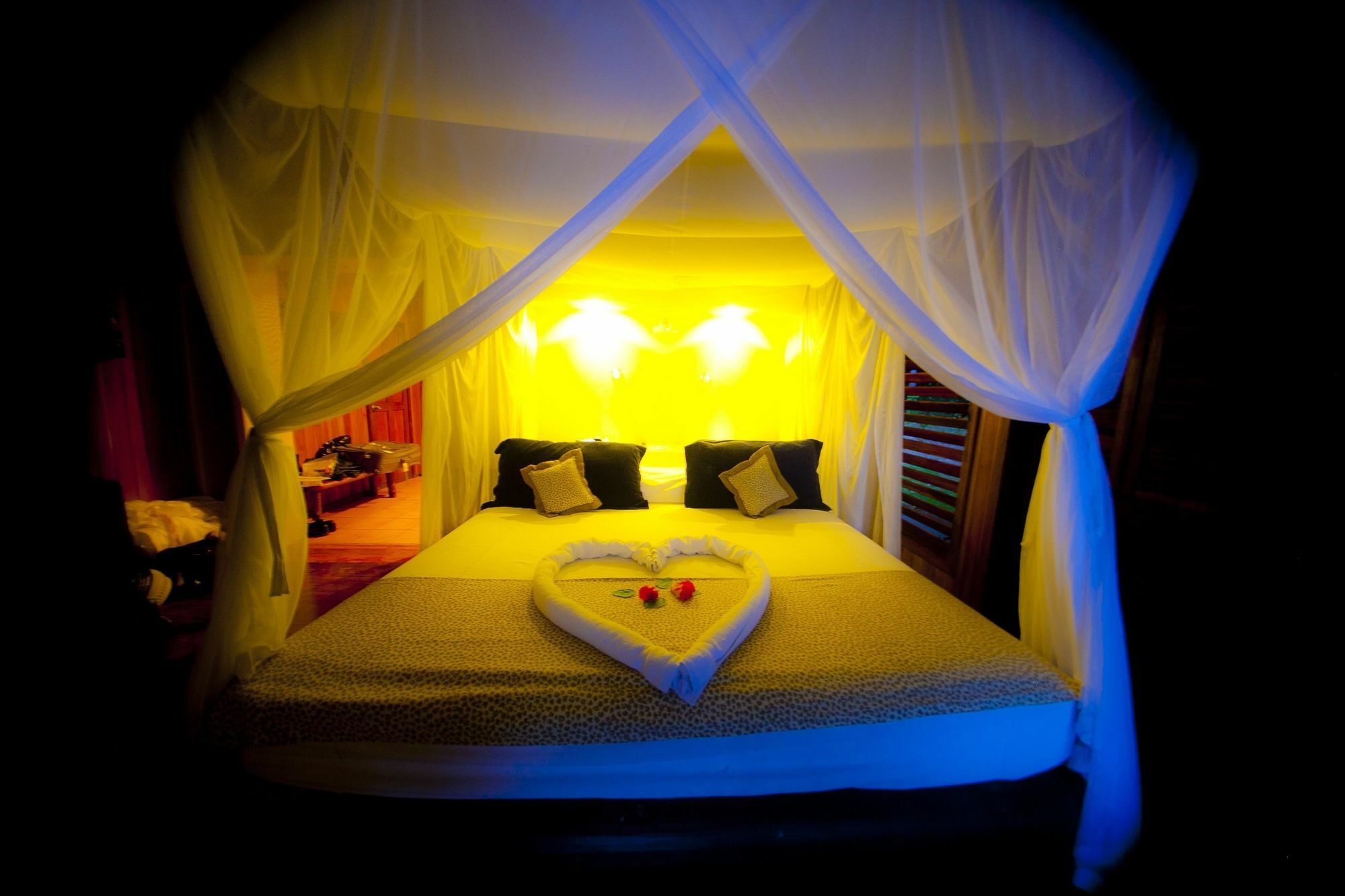 Hotel Bosque Del Cabo Rain Forest 3*