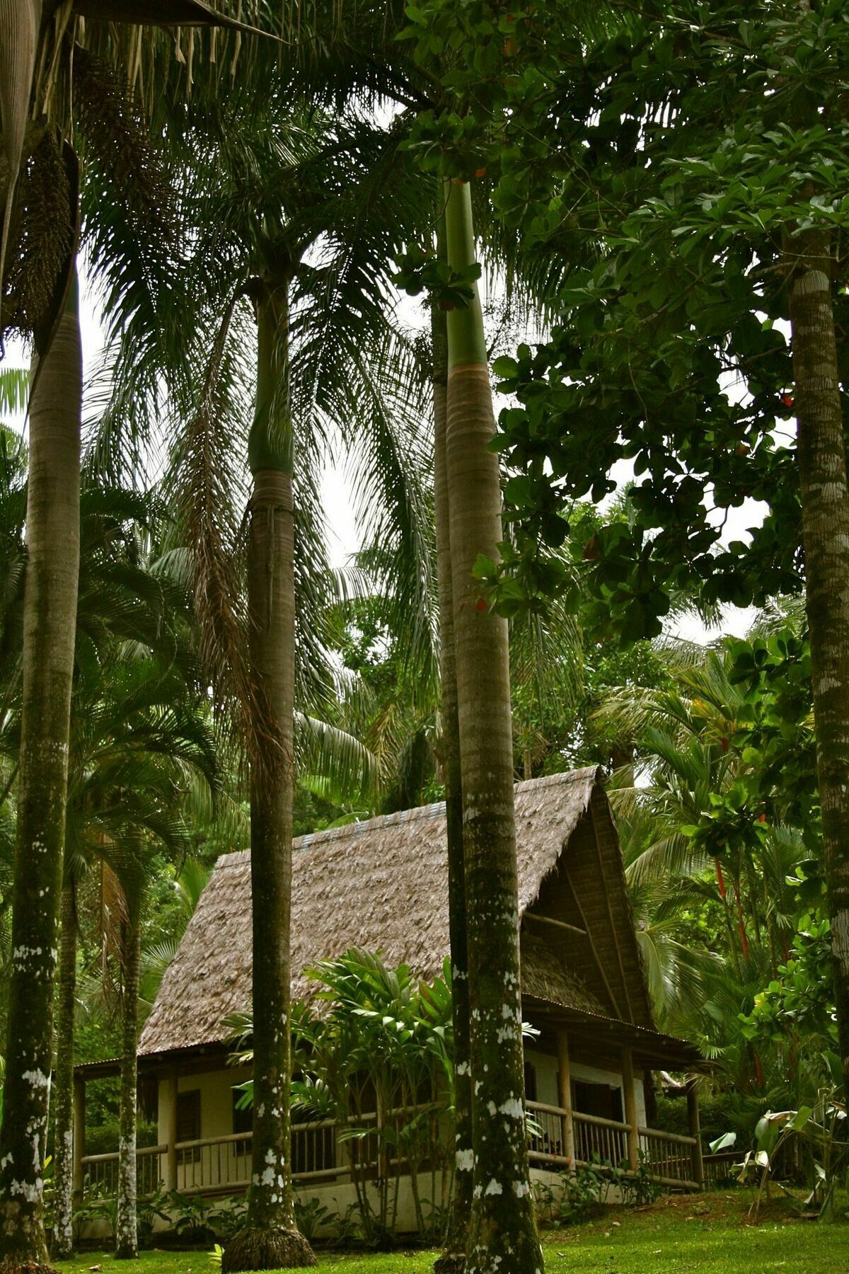 Hotel Bosque Del Cabo Rain Forest 3*