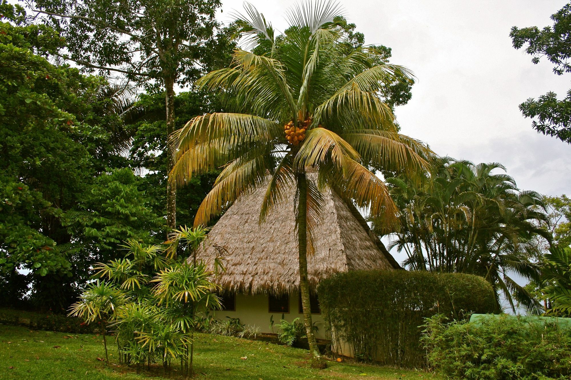 Hotel Bosque Del Cabo Rain Forest