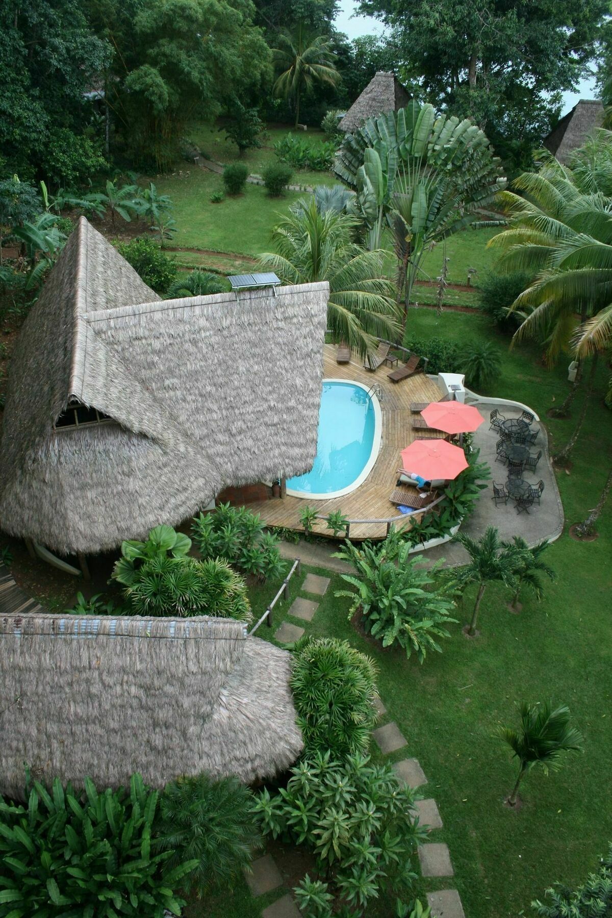 Bosque Del Cabo Rain Forest Puerto Jimenez