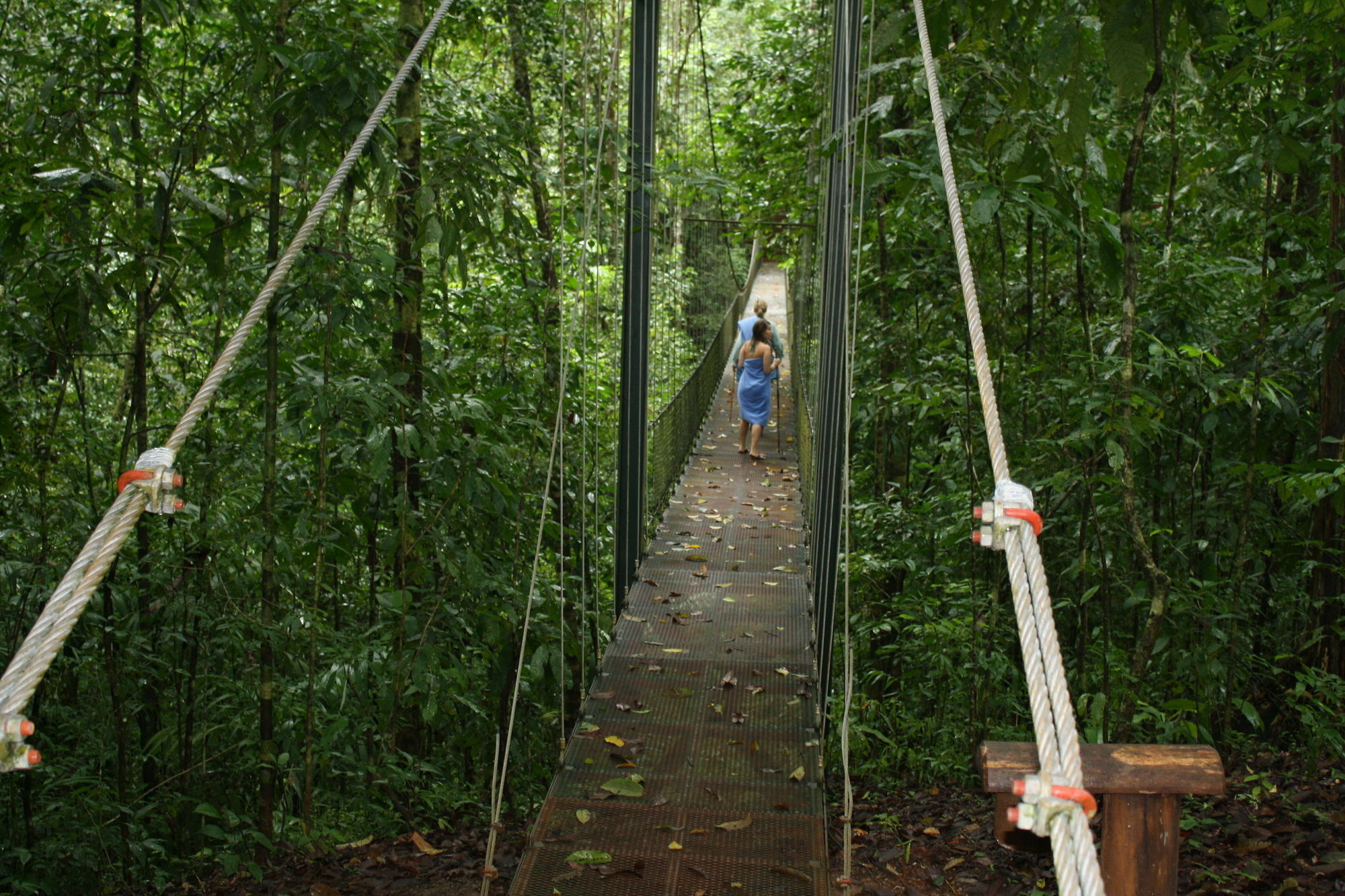 Bosque Del Cabo Rain Forest Hotel 3*
