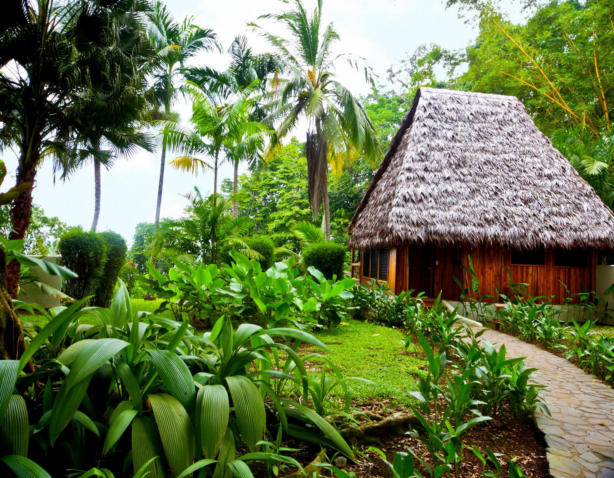 Bosque Del Cabo Rain Forest Hotel 3*