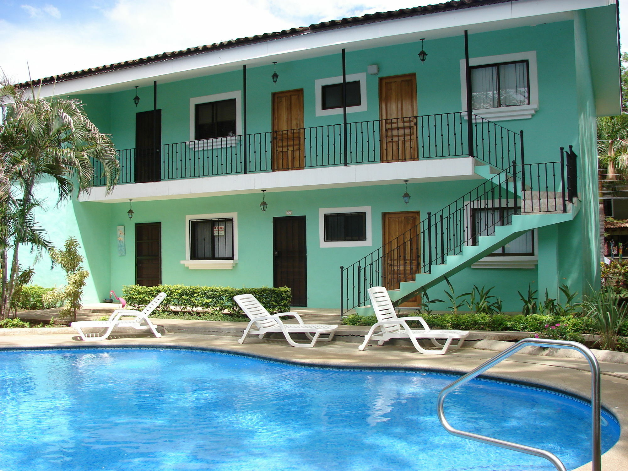 Green Forest Of Beach Studios