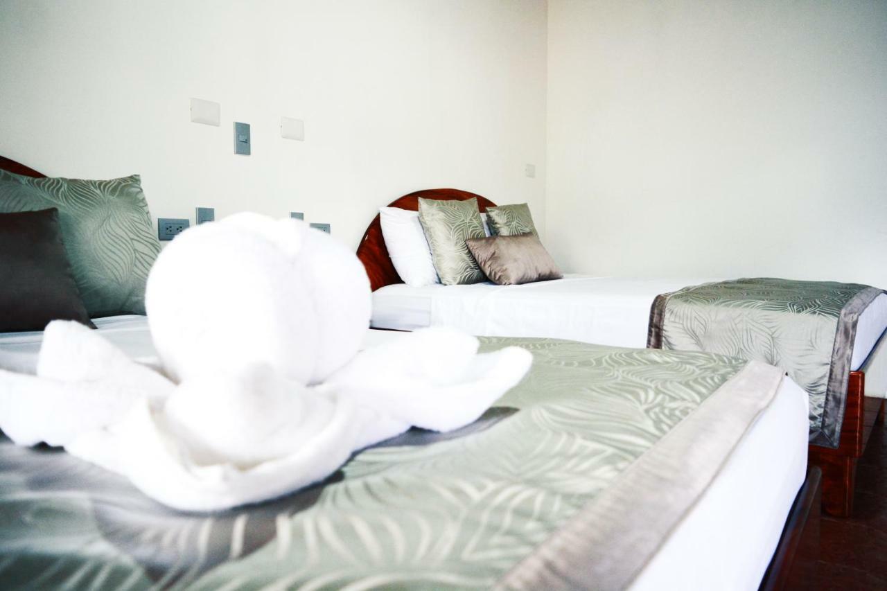 Hostel Backpackers
