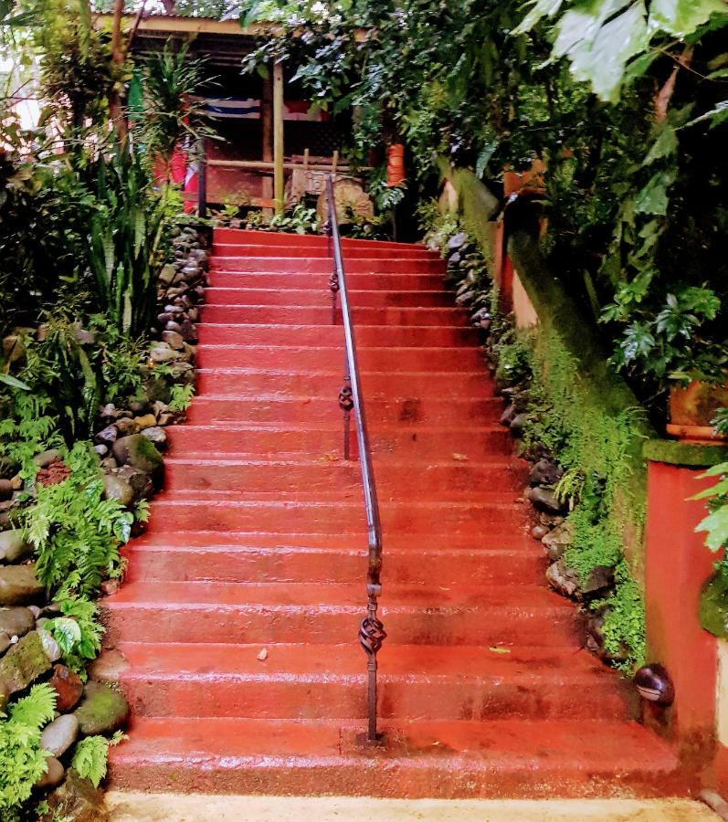 Bed & Breakfast Casa Mare Nostrvm Manuel Antonio