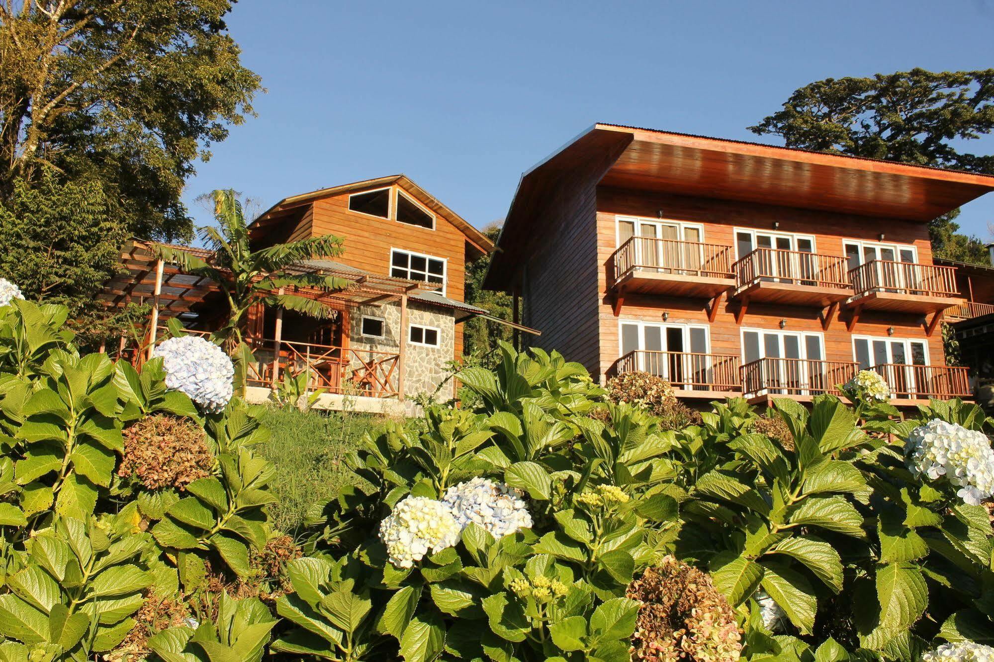 Hotel Bosque
