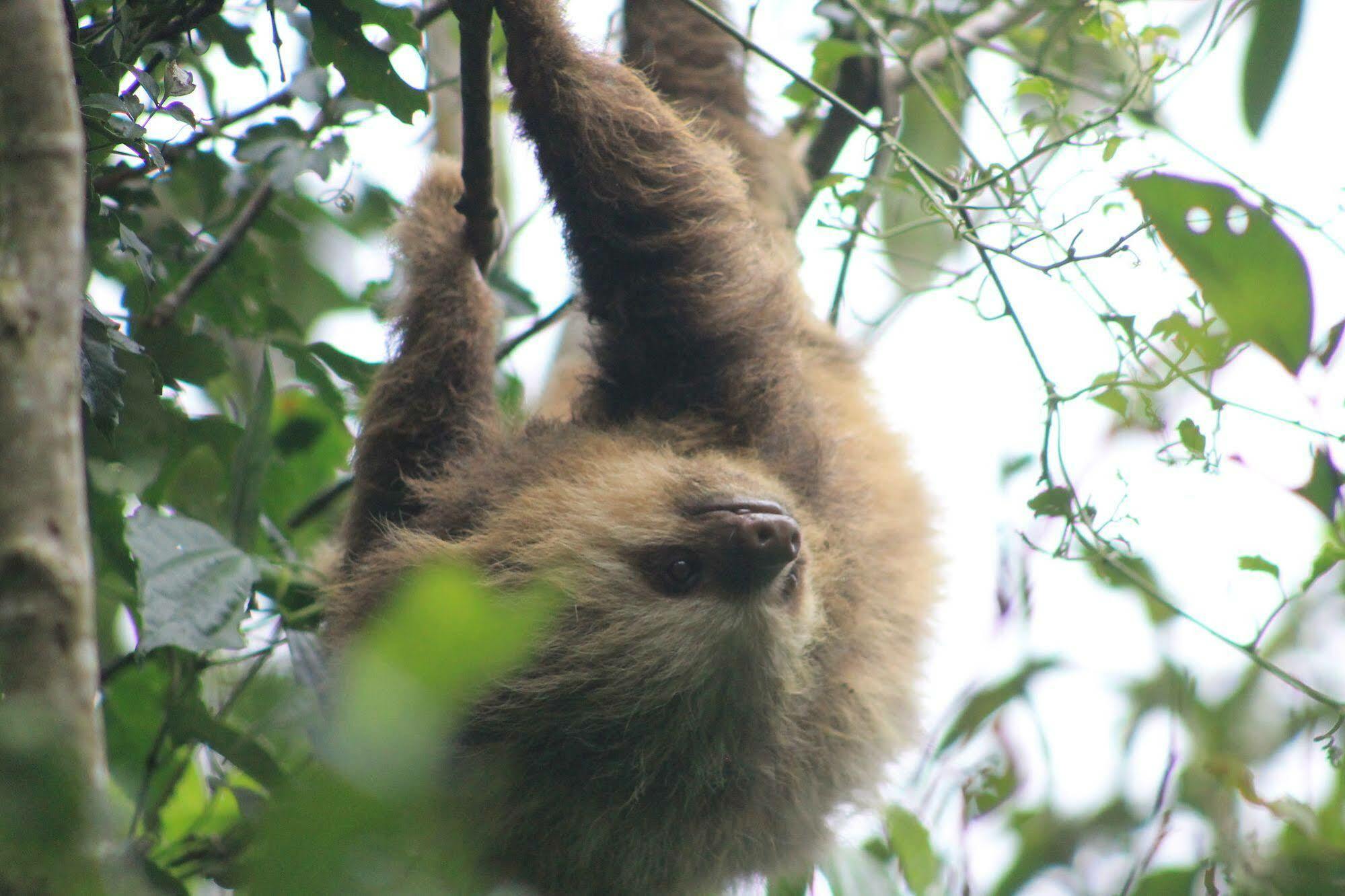Bosque Monteverde