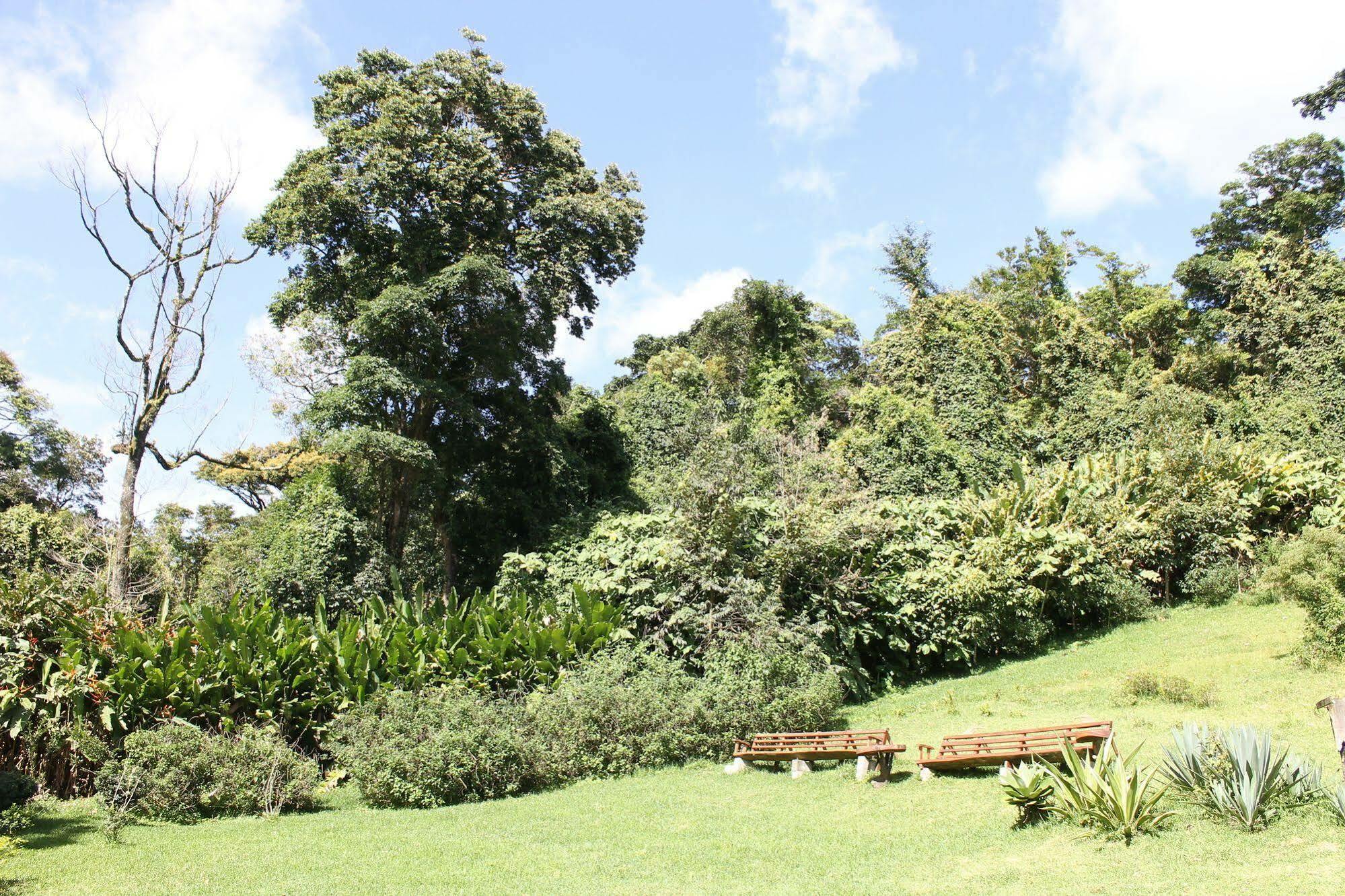 Bosque Monteverde