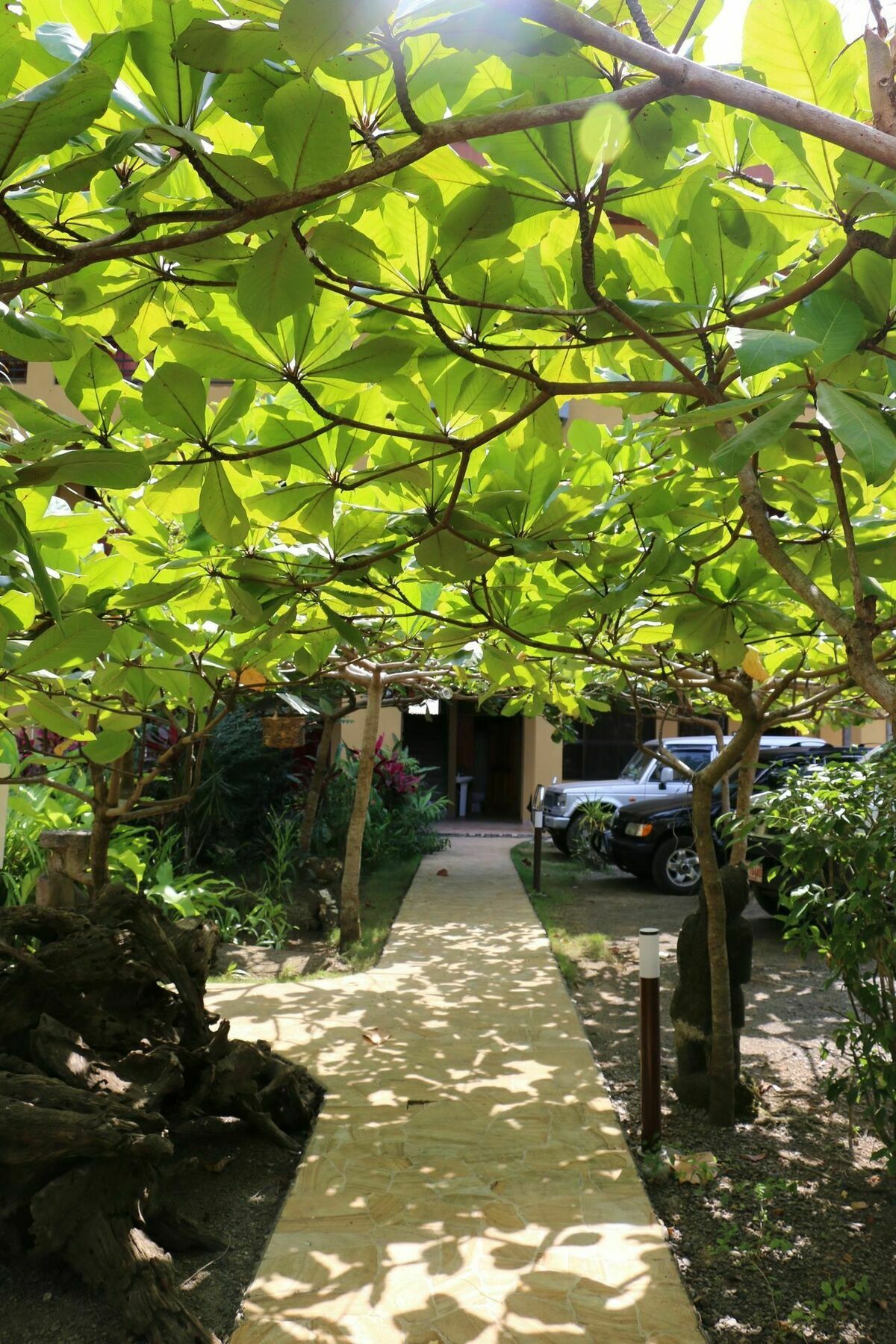 Pacifico Loft Jaco