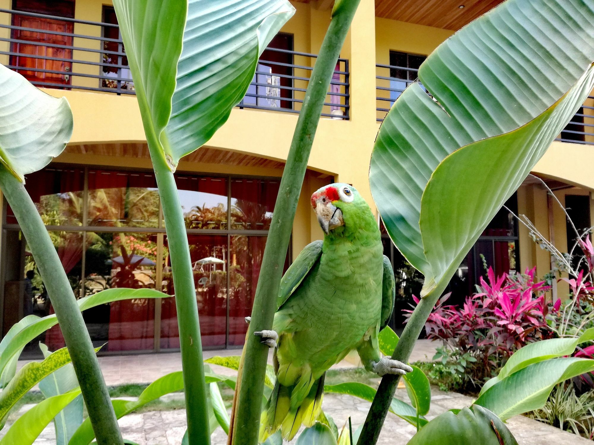 Hotel Pacifico Loft