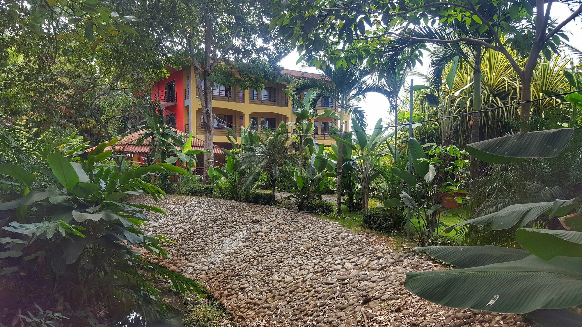 Pacifico Loft Jaco