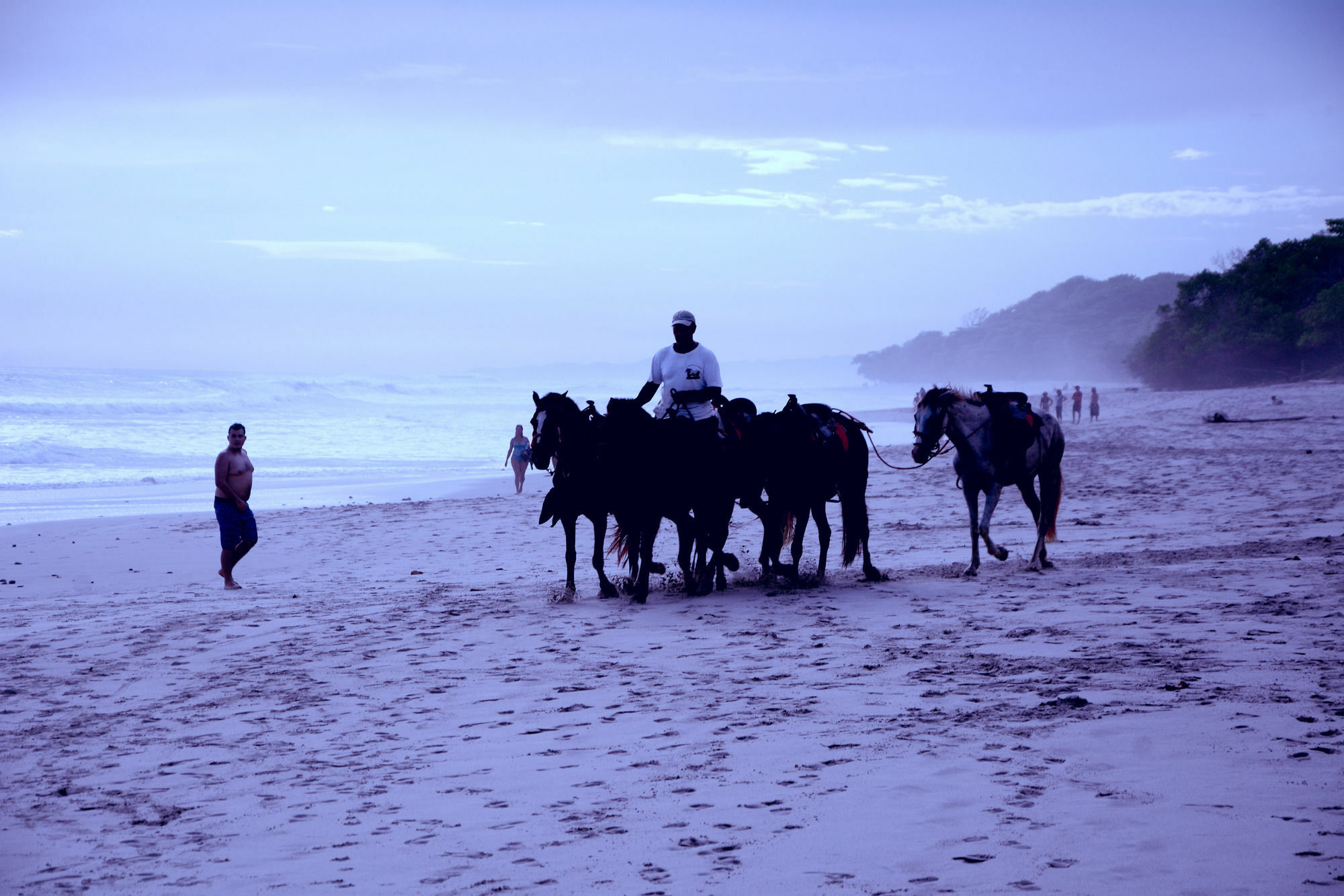 The Place Hotel Carmen (Puntarenas)
