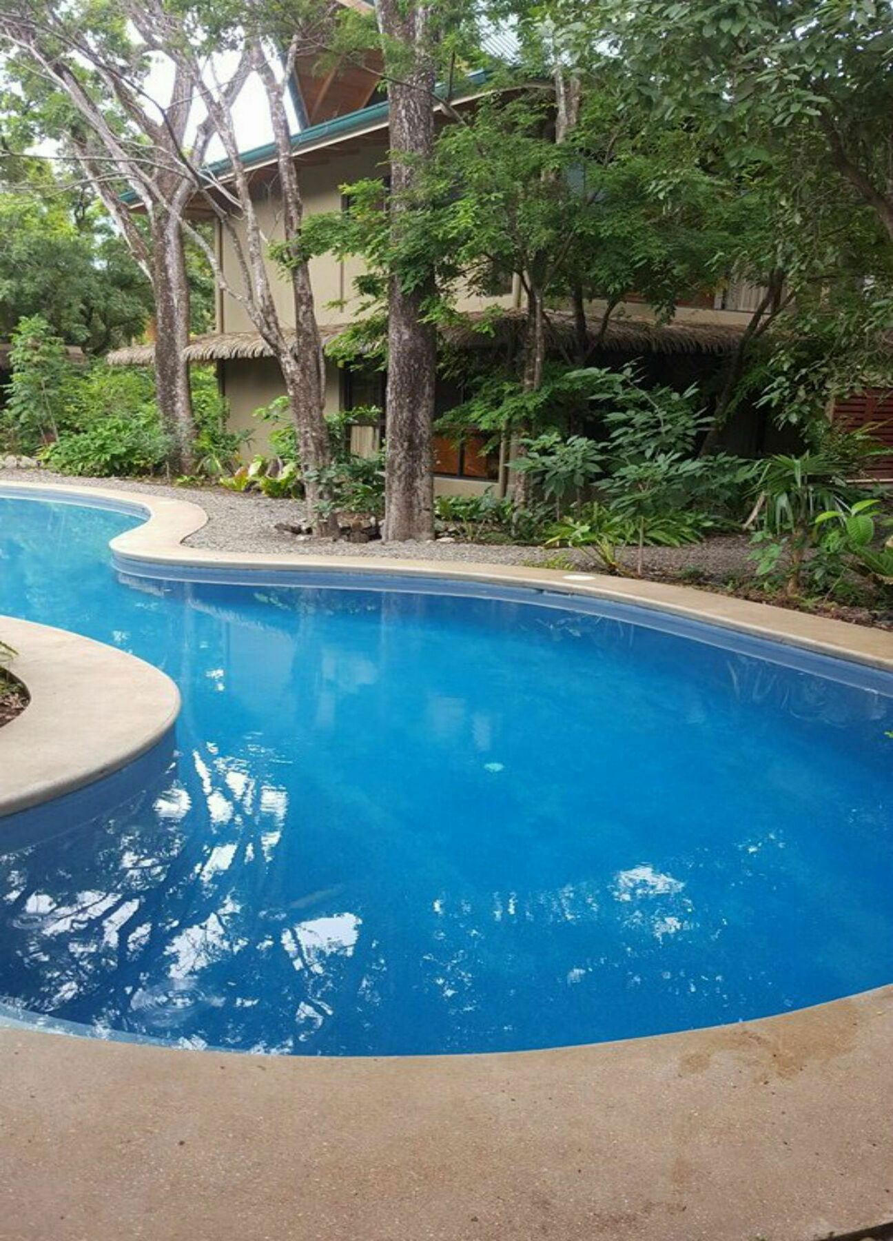 Hotel Olas Verdes Hotel 4*