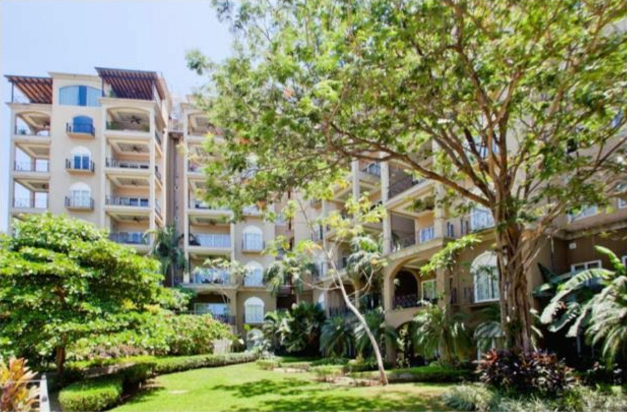 Diria #504 Tamarindo