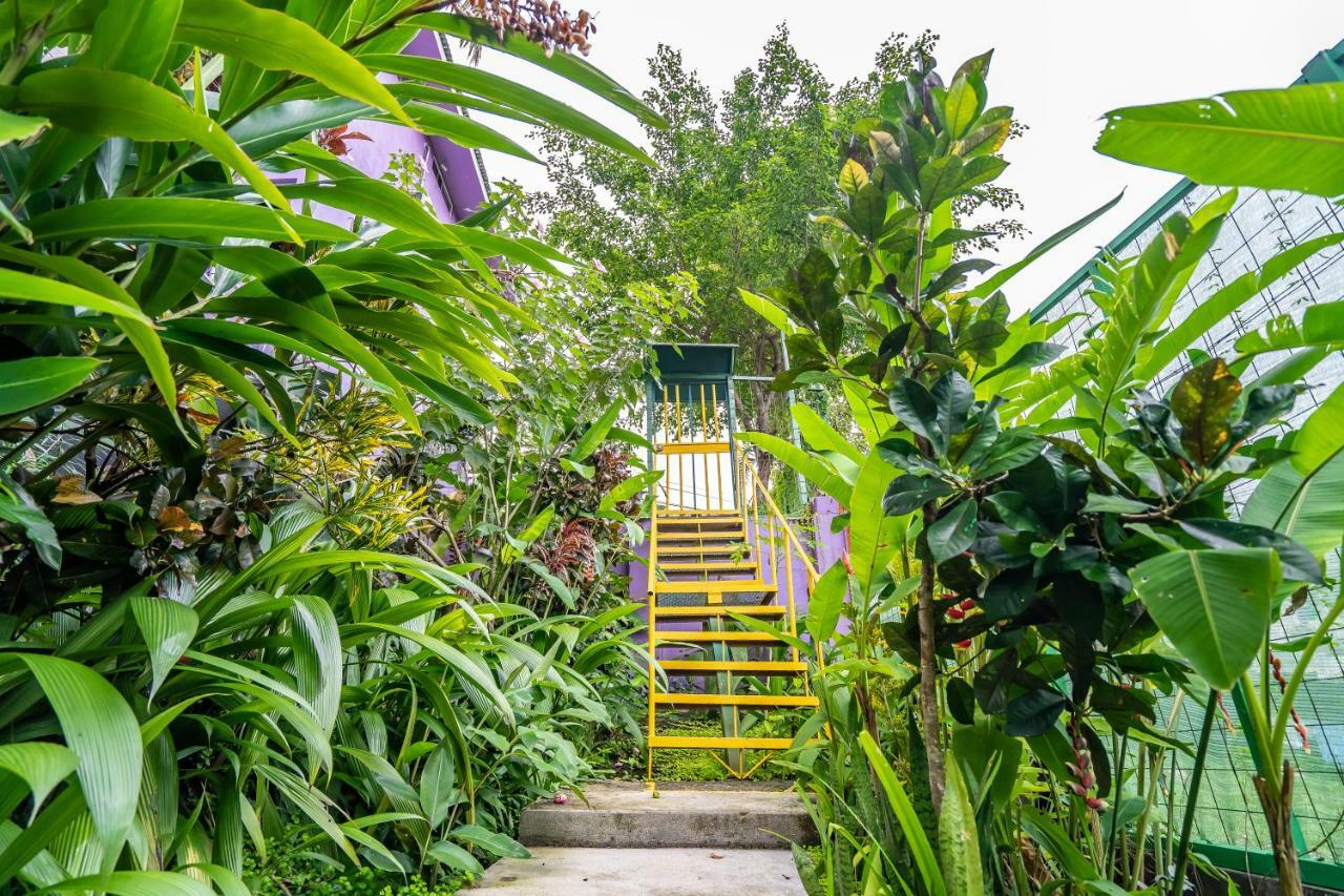 Peace Of Paradise Free Park Tour & Free Breakfast 2* Manuel Antonio