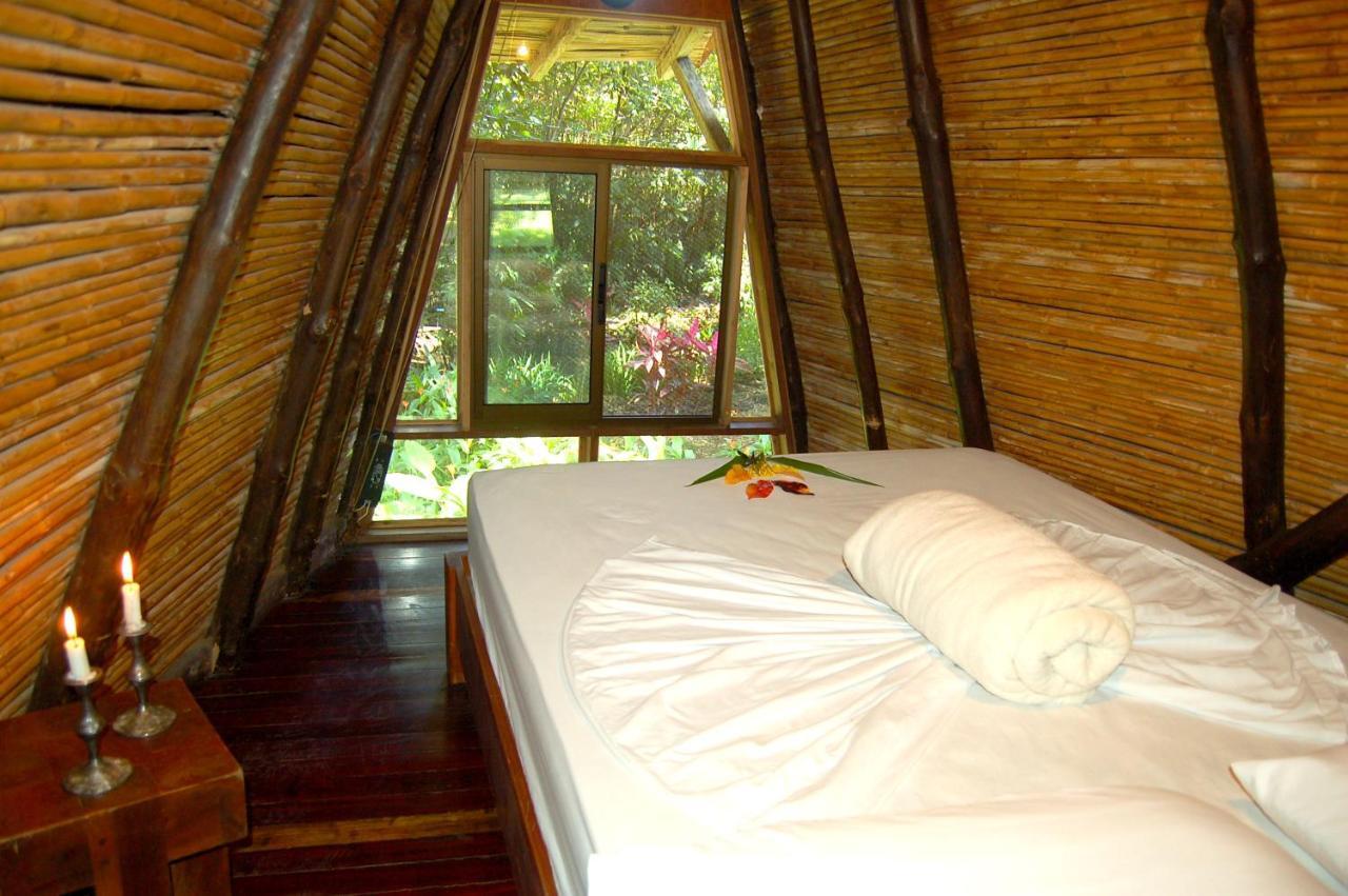 Hotel Flying Crocodile