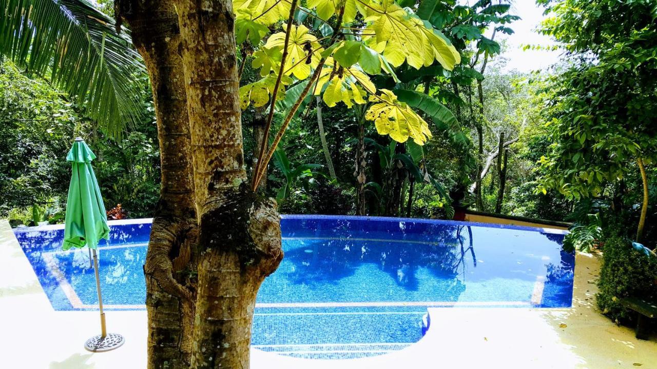 Bed & Breakfast Casa Mare Nostrvm Manuel Antonio