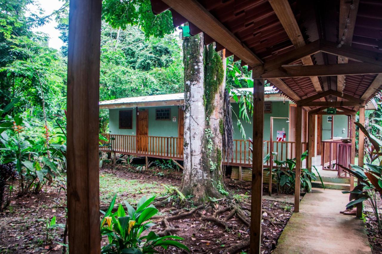Hostel Backpackers