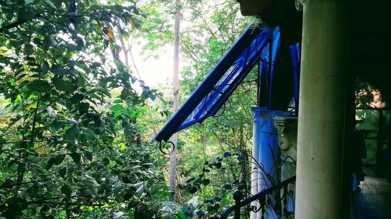 Casa Mare Nostrvm Bed & Breakfast Manuel Antonio