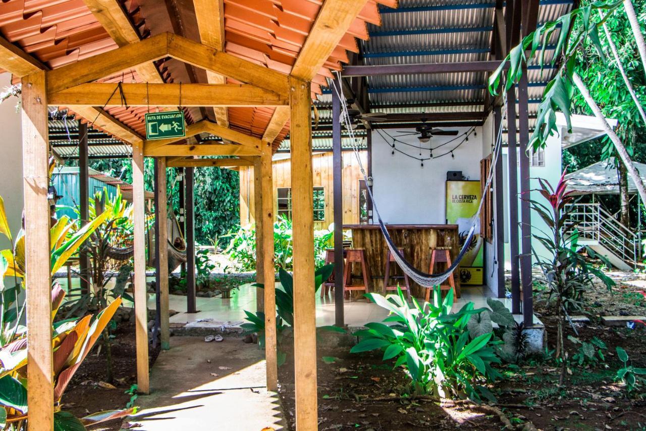 Backpackers Hostel