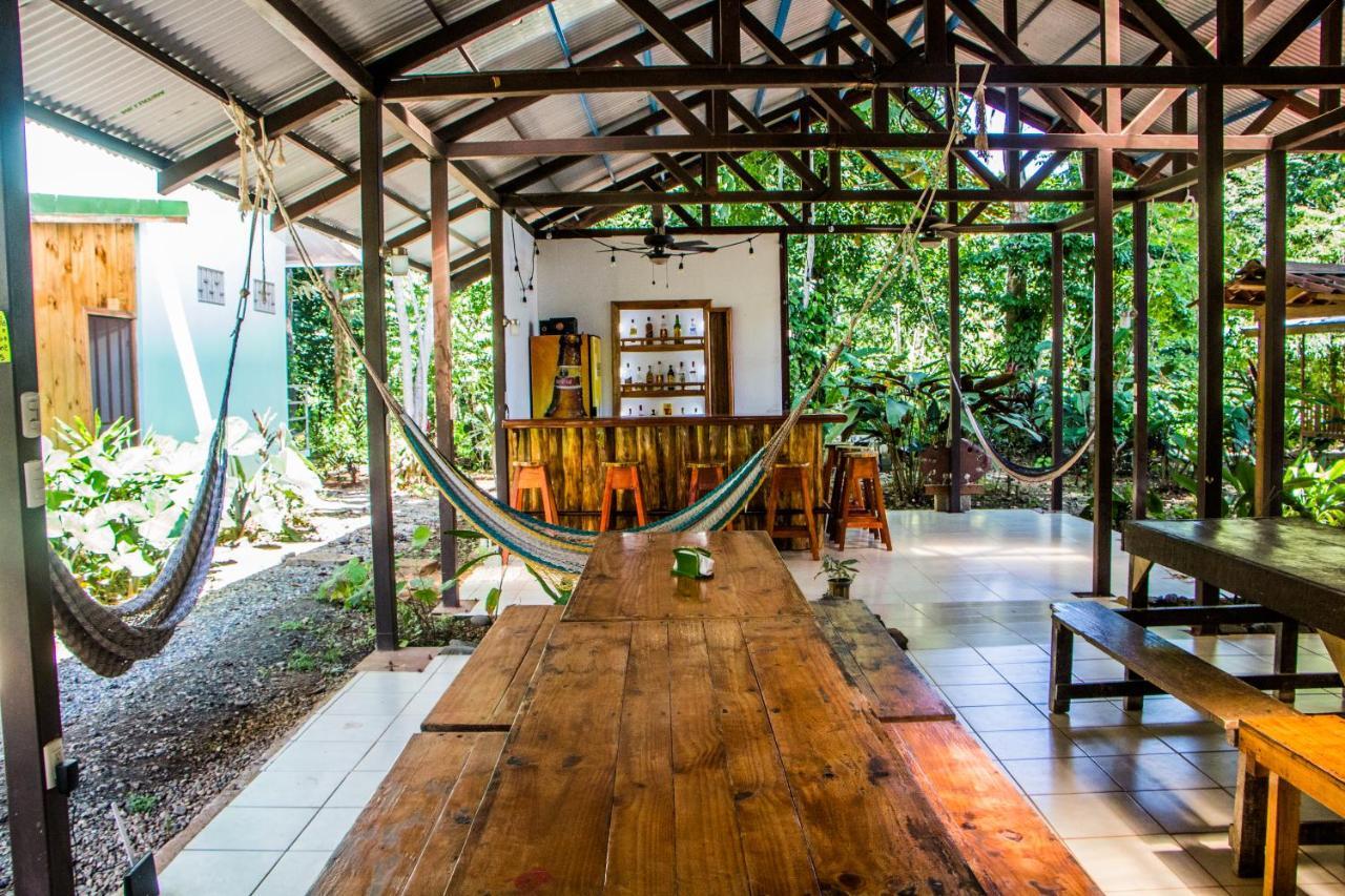 Hostel Backpackers