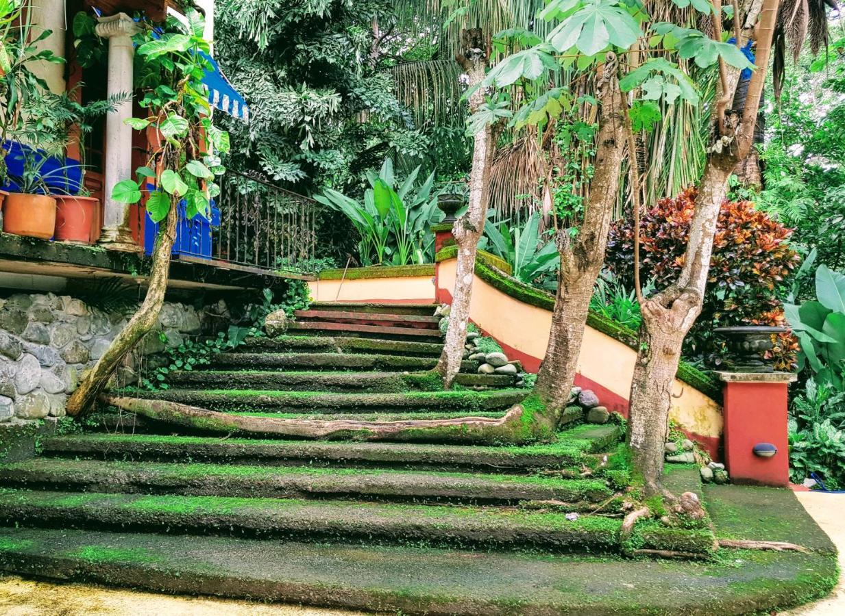 Bed & Breakfast Casa Mare Nostrvm Manuel Antonio