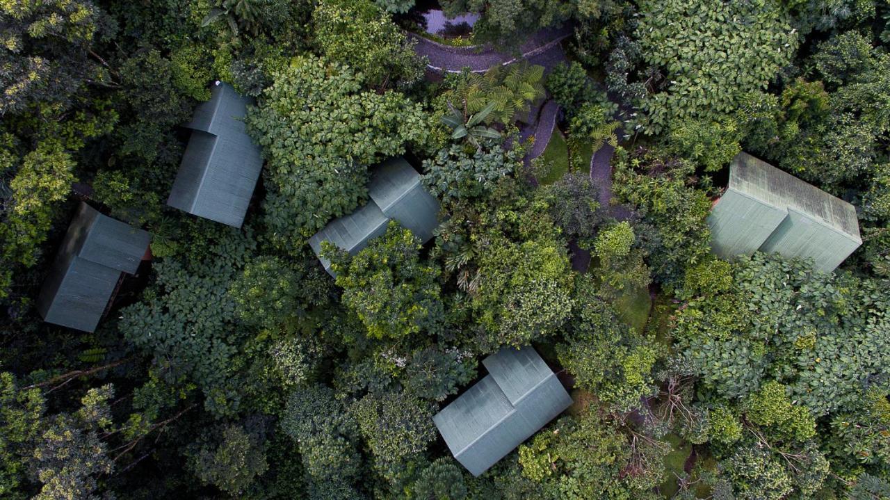 La Tigra Rainforest Lodge *
