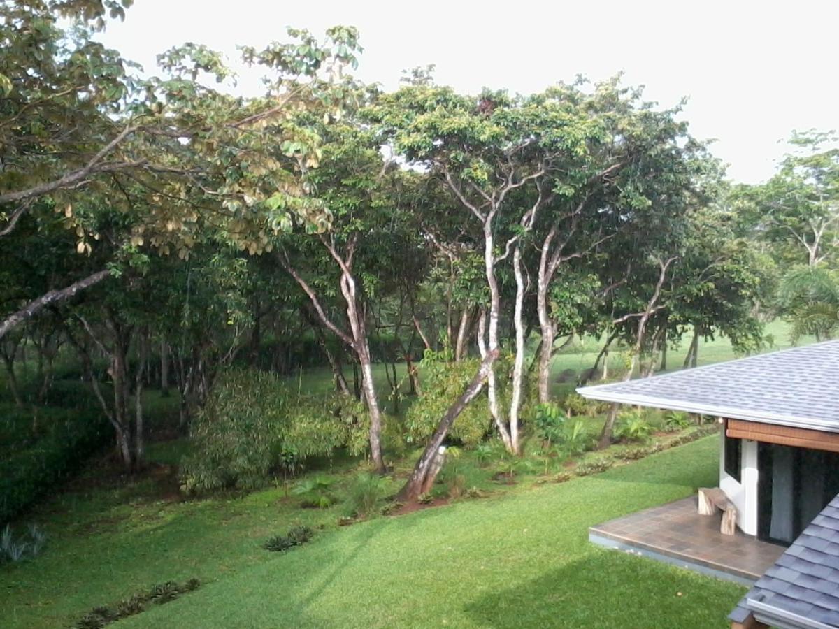 Oceanfront Gem At La Joya De Lagarto